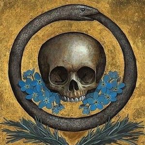 Meet your Posher, Shea